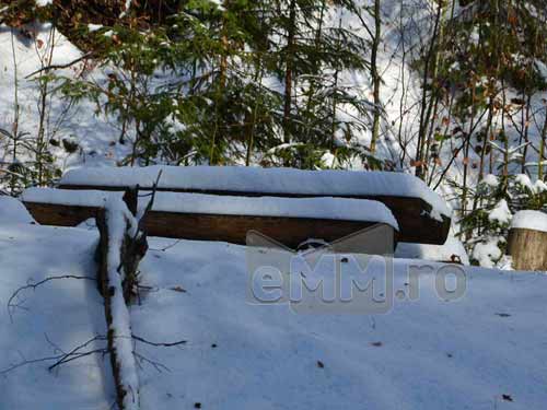 Foto Loc de popas, valea Baita (c) Lucian Petru Goja